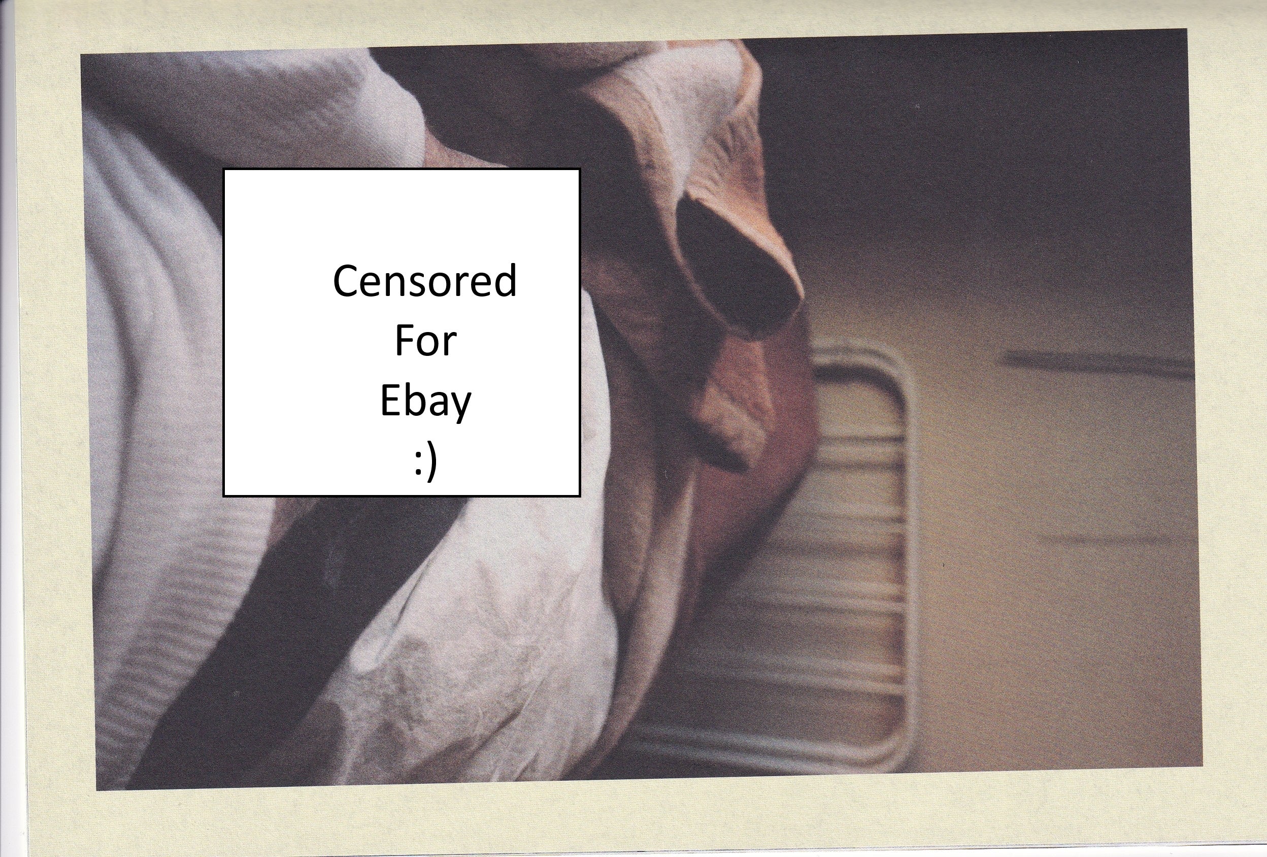 Brett Lloyd - Candyland  - Gay Photobook - Rare