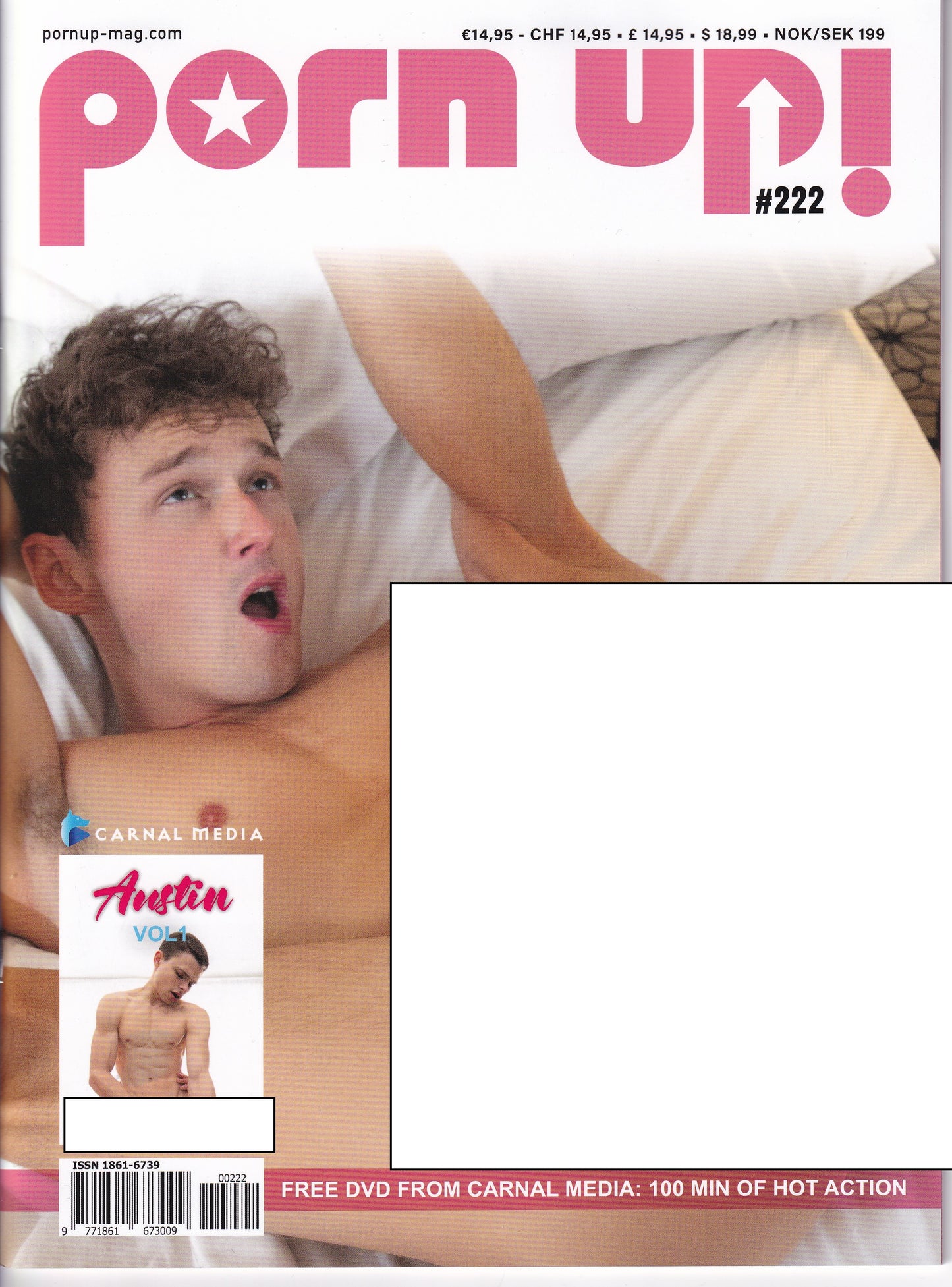 Gay Magazine - Porn Up! #222 With Free DVD
