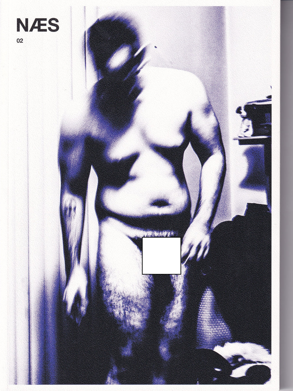 Gay Photobook/Zine - Liam Campbell - NÆS