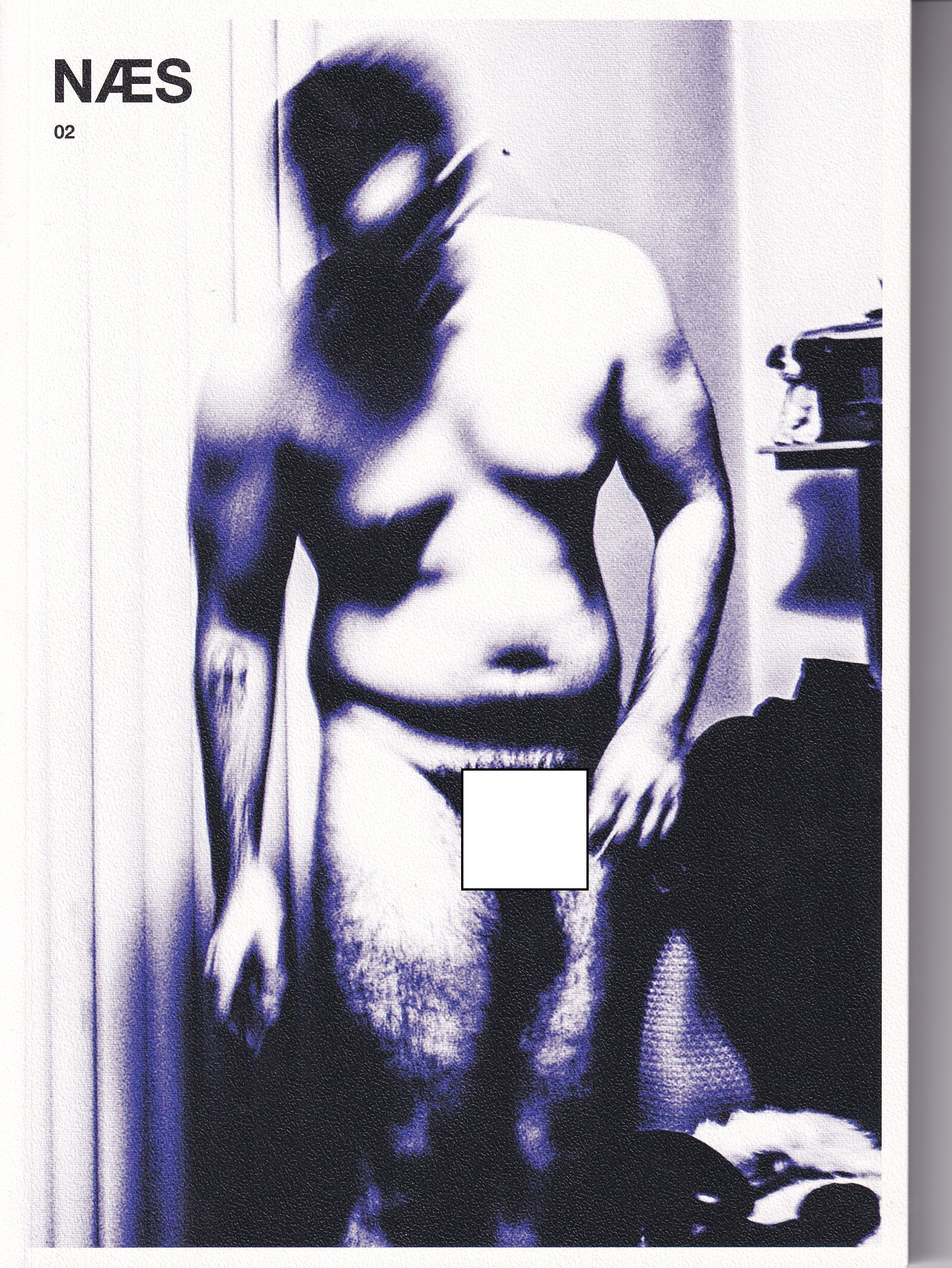 Gay Photobook/Zine - Liam Campbell - NÆS