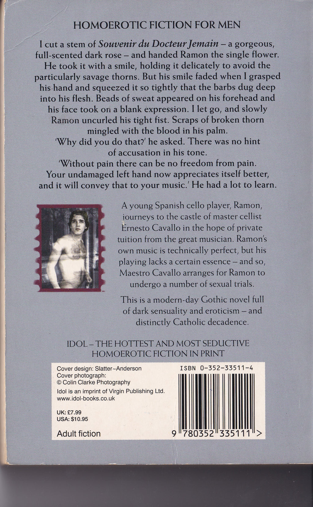 Maestro by Peter Slater (Idol / Virgin Publishing, 2000)