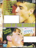 Gay Vintage DVD - Lair Of the Sultan - Game Boys