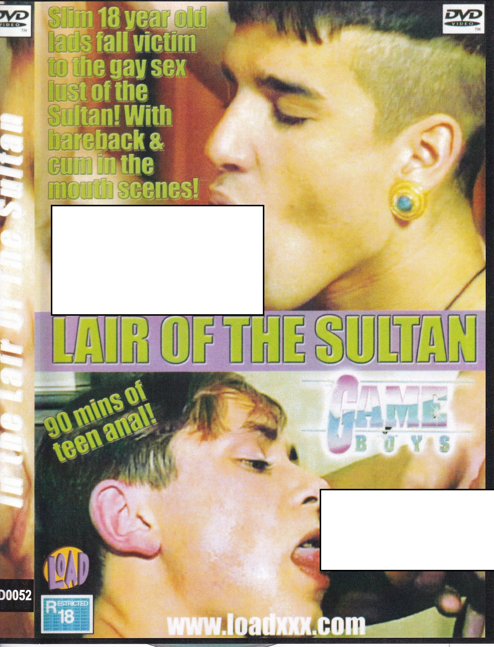 Gay Vintage DVD - Lair Of the Sultan - Game Boys