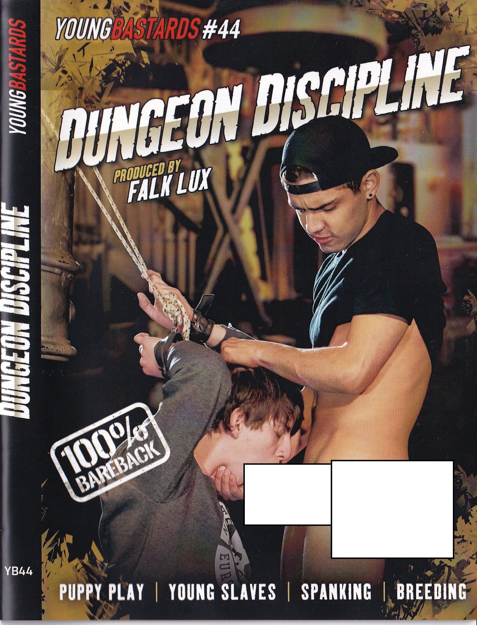 Gay DVD - Young Bastards - Dungeon Discipline