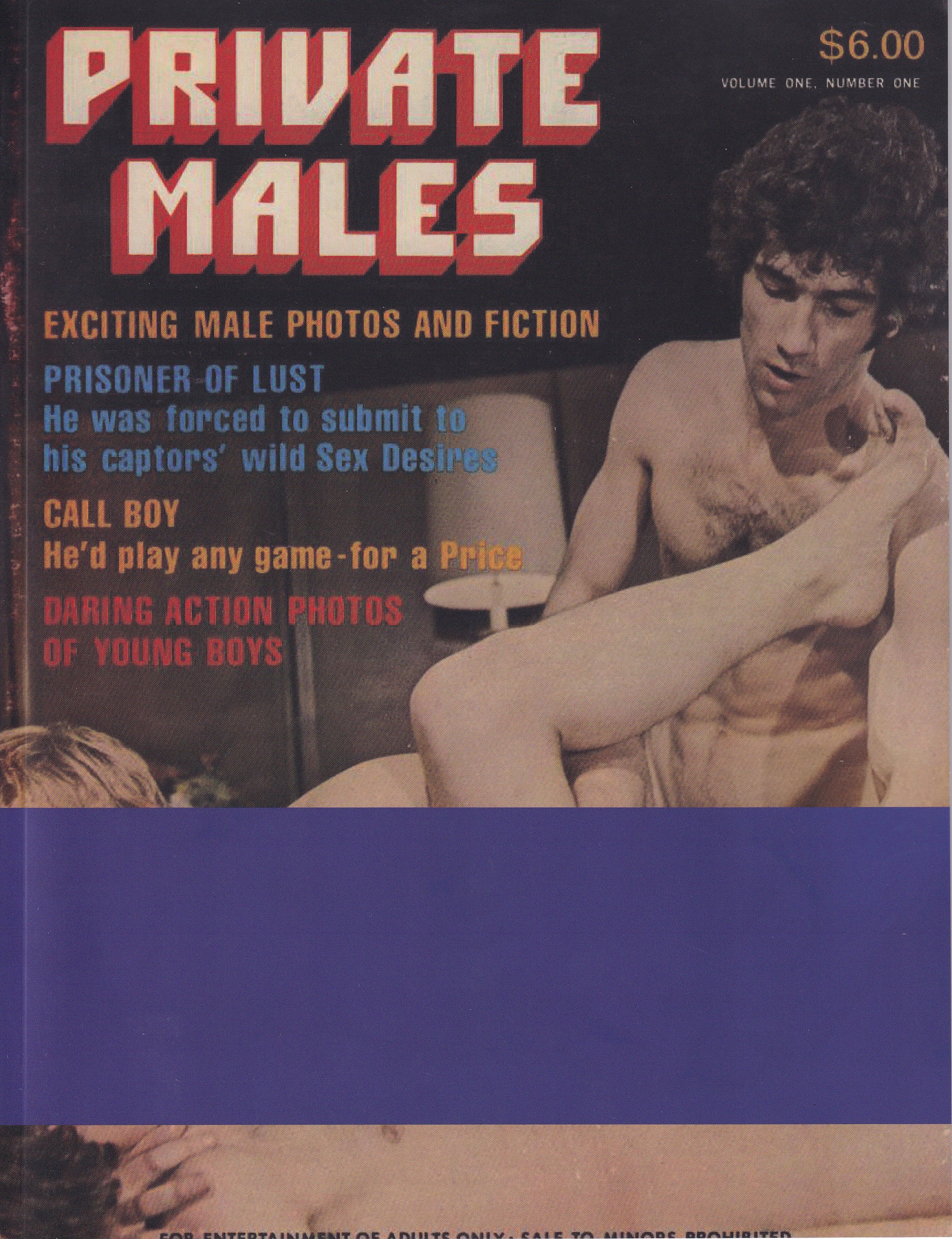 Gay Vintage Magazine - Private Males