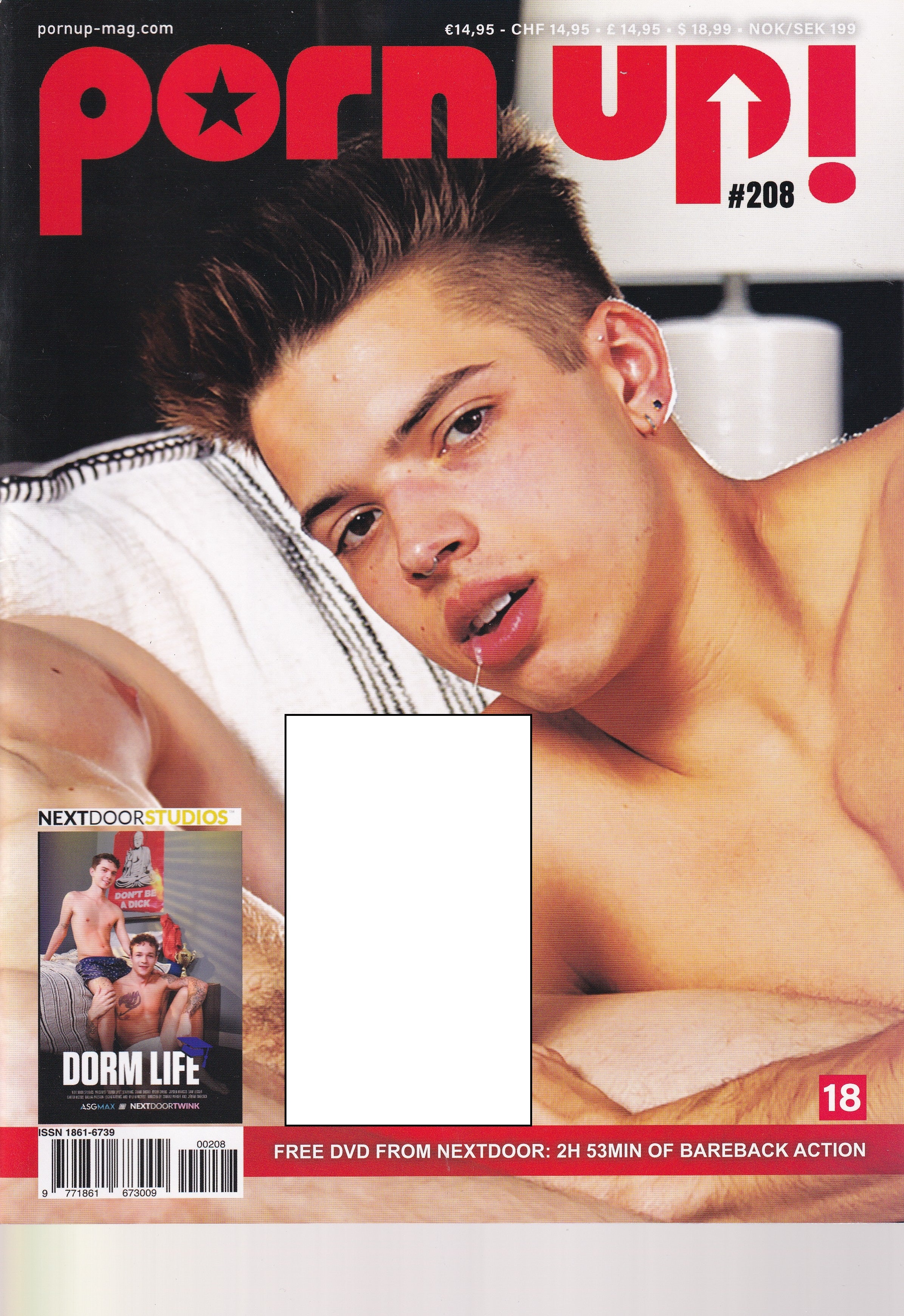 Gay Magazine - Porn Up! #208